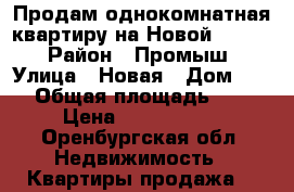 Продам однокомнатная квартиру на Новой 10 2/9 › Район ­ Промыш › Улица ­ Новая › Дом ­ 10 › Общая площадь ­ 33 › Цена ­ 1 650 000 - Оренбургская обл. Недвижимость » Квартиры продажа   